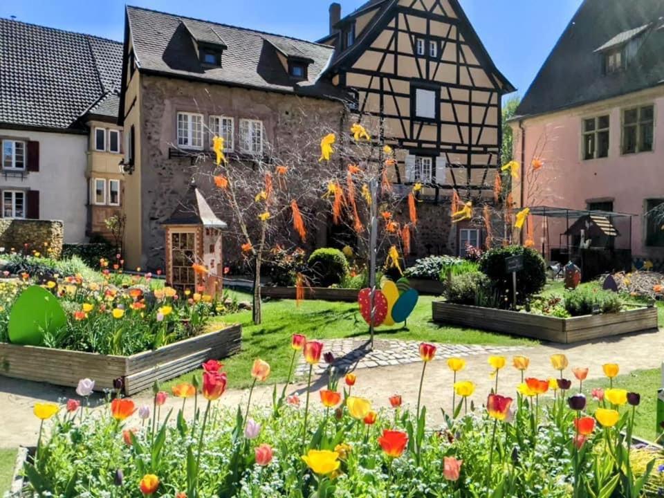 Gîte Les lavandières MK Colmar Esterno foto