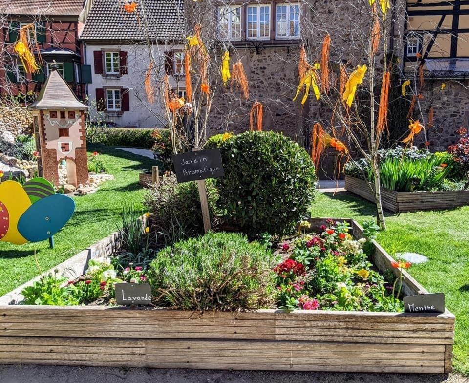 Gîte Les lavandières MK Colmar Esterno foto
